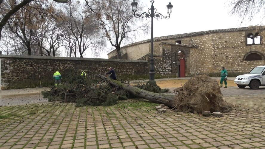 La provincia registra más de 271 incidencias por la borrasca Kristin sin daños personales graves