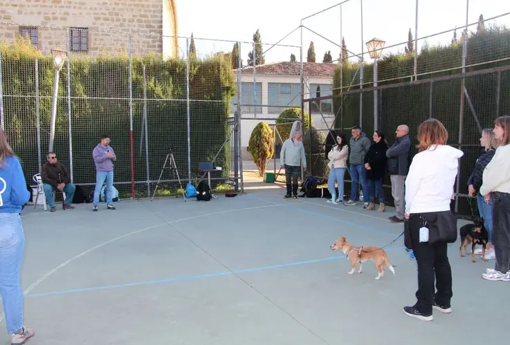La UNIA oferta en la Sede Antonio Machado de Baeza la microcredencial Guía canino en Intervención Asistida con Perros