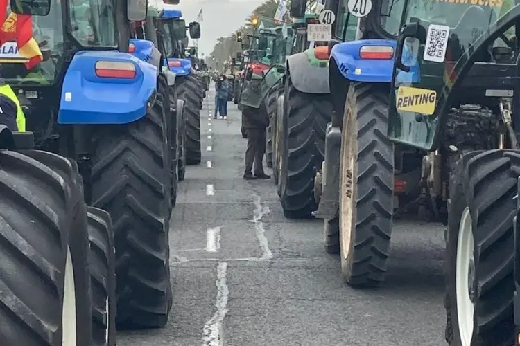 El campo andaluz saldrá de nuevo a las carreteras el 29 de enero secundando las protestas convocadas a nivel nacional