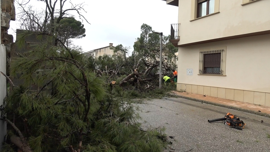 IU Baeza urge un plan de recuperación inmediato y de mantenimiento preventivo tras el paso del temporal