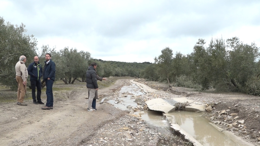 Ubeda pone en marcha un plan de emergencia para reparar danos en mas de 40 caminos rurales 1.110.1
