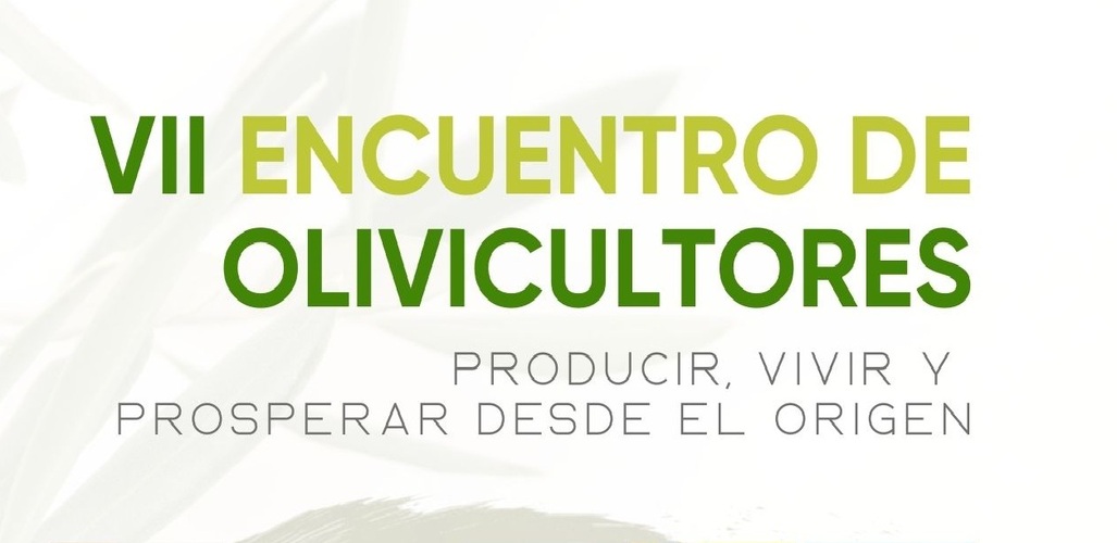 El olivar como motor contra la despoblación: Baeza acoge el VII Encuentro de Olivicultores del Grupo Oleícola Jaén