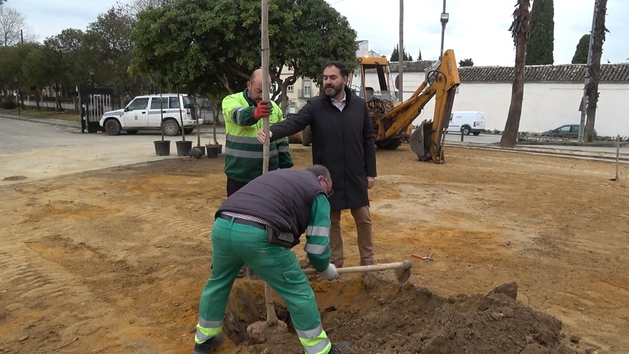 2026 03 20 BAEZA REPOBLACION ARBOLADO JARDINES MONUMENTO A SOR MONICA 2.61.1 1
