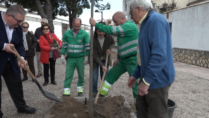 Baeza celebra el Día del Árbol con una plantación colectiva en el Parque Juanito y Luisa 3 Baeza celebra el Dia del Arbol con una plantacion colectiva en el Parque Juanito y Luisa 2.36.1