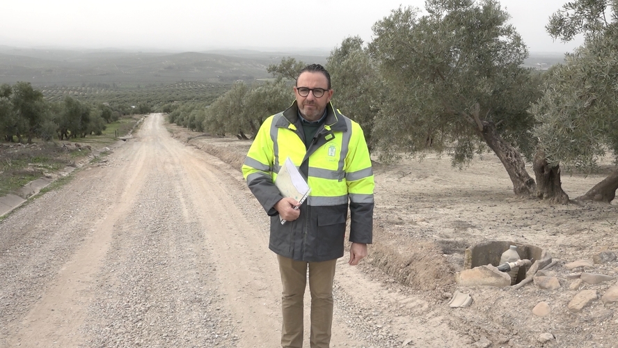 El Ayuntamiento de Baeza actúa en más de una veintena de caminos rurales tras los daños del tren de borrascas