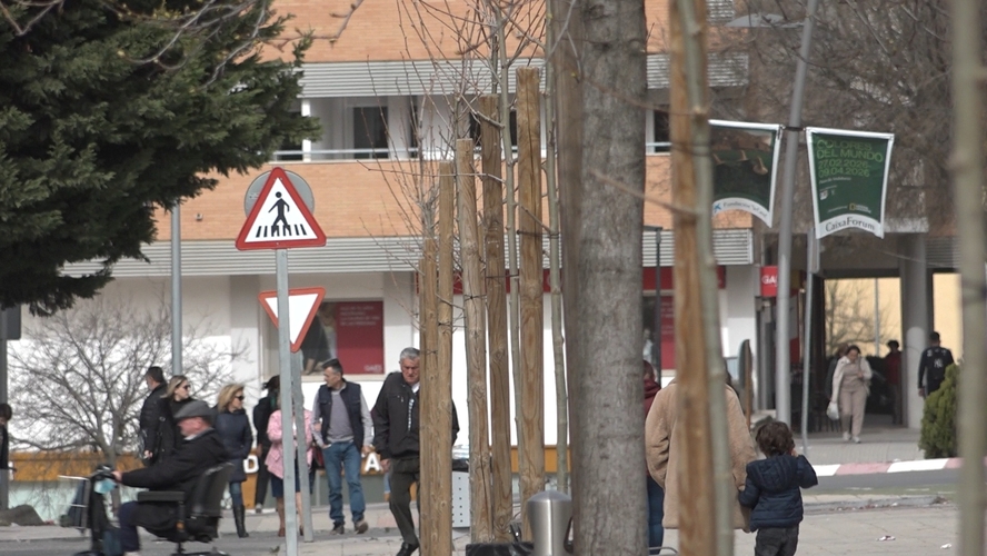 El Ayuntamiento de Úbeda repone el arbolado perdido tras el temporal