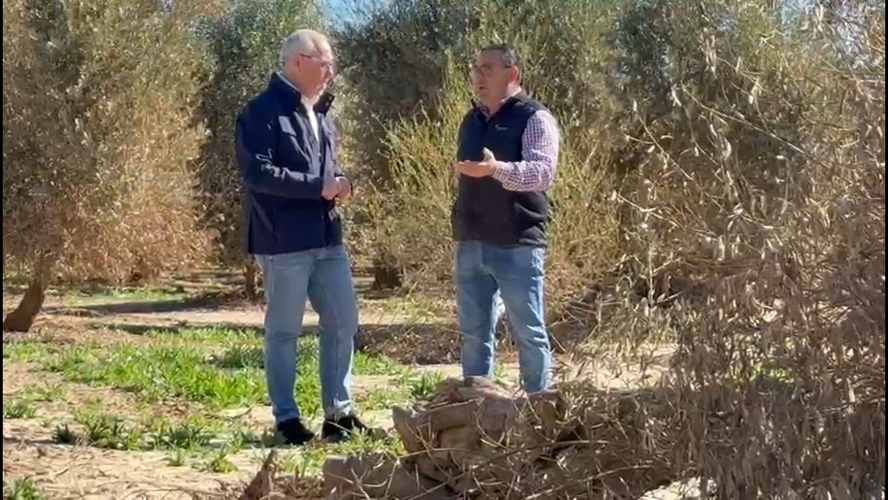 La Junta de Andalucía moviliza 685 millones en ayudas para el campo tras la sucesión de borrascas