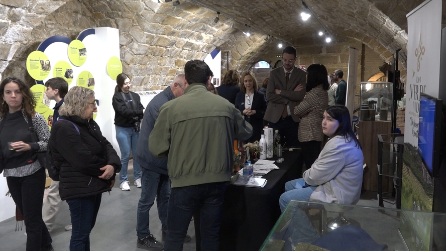 Balance positivo de la jornada de puertas abiertas en el Centro de Interpretación Olivar y Aceite de Úbeda