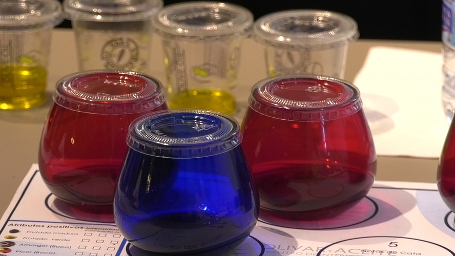 El Centro de Interpretación Olivar y Aceite impulsa la formación nacional con sus cursos de iniciación a la cata de AOVE