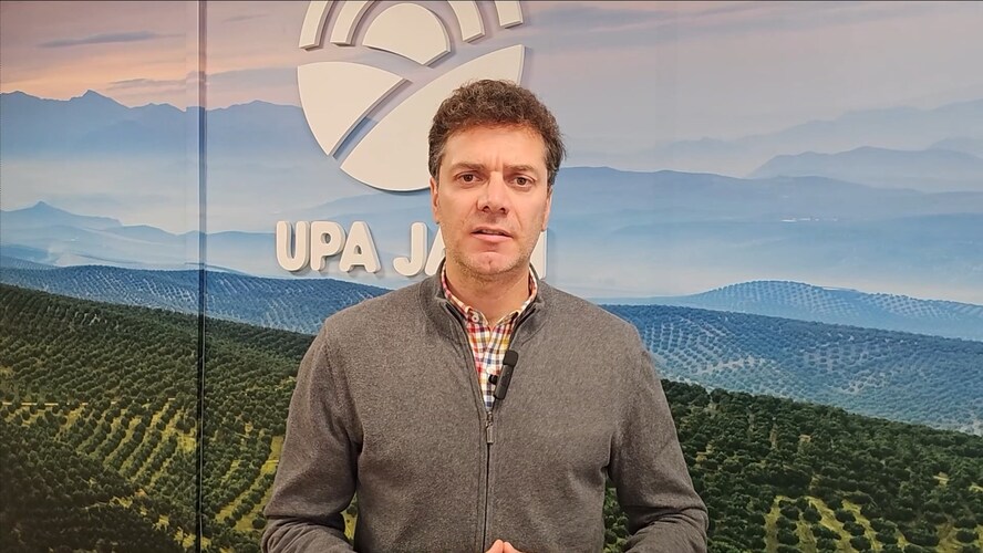 UPA Andalucía denuncia que los olivareros pierden más de 4 millones de euros cada día por la especulación y los precios de ruina en origen 3 UPA Andalucia denuncia que los olivareros pierden mas de 4 millones de euros cada dia por la especulacion y los precios de ruina en origen