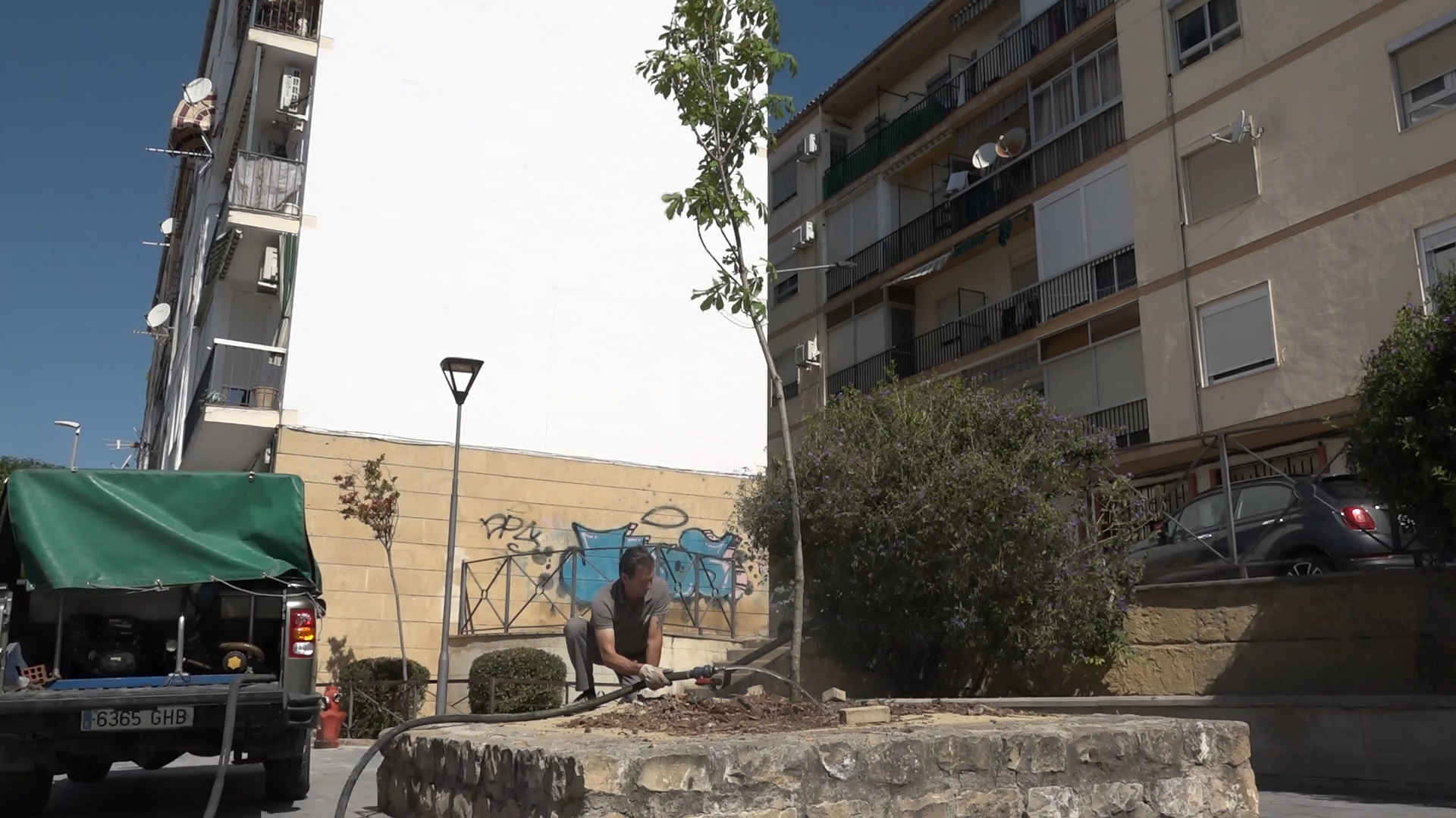 Ubeda continua con su plan de arbolado y renueva ejemplares en calles y parques