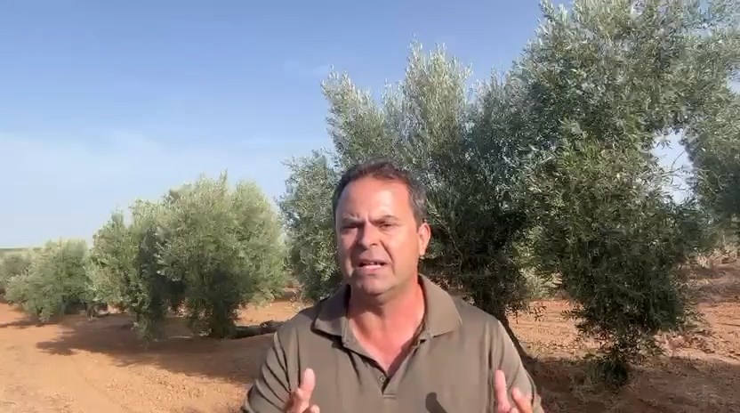 COAG Andalucia critica que Planas diga que se controla todo el aceite que entra en la UE mientras obvia los datos del Tribunal de Cuentas Europeo que afirman lo contrario