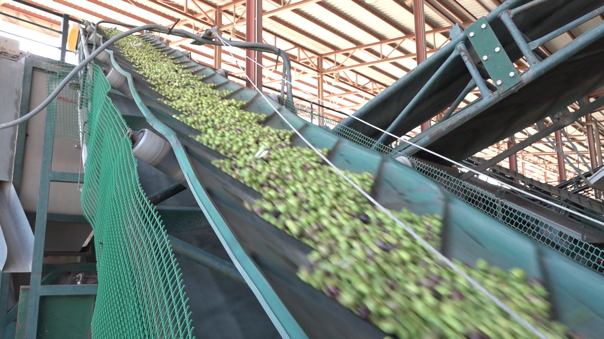 UPA y COAG denuncian precios del aceite por debajo de costes pese al fuerte ritmo de ventas 2.23.1