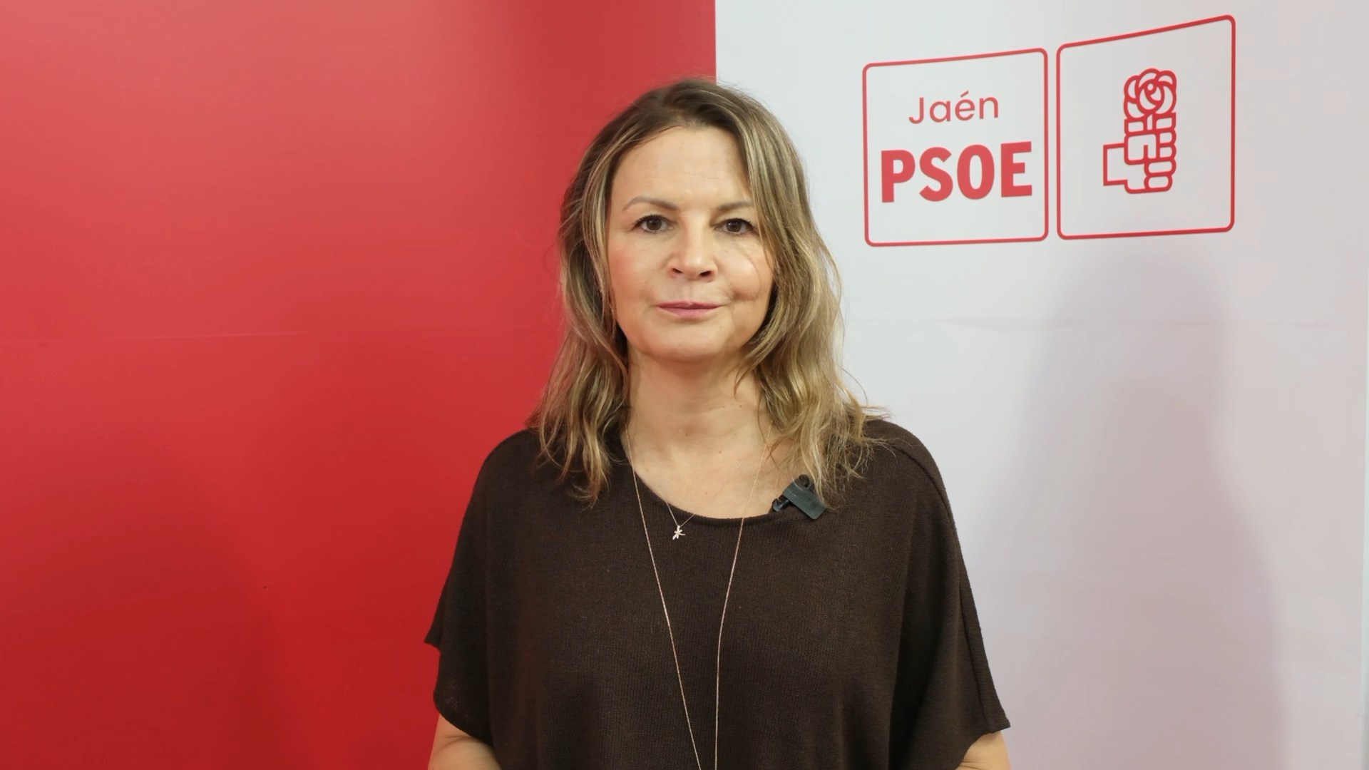ana cobo PSOE Jaen