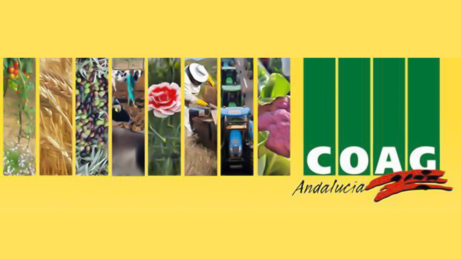 COAG ANDALUCIA