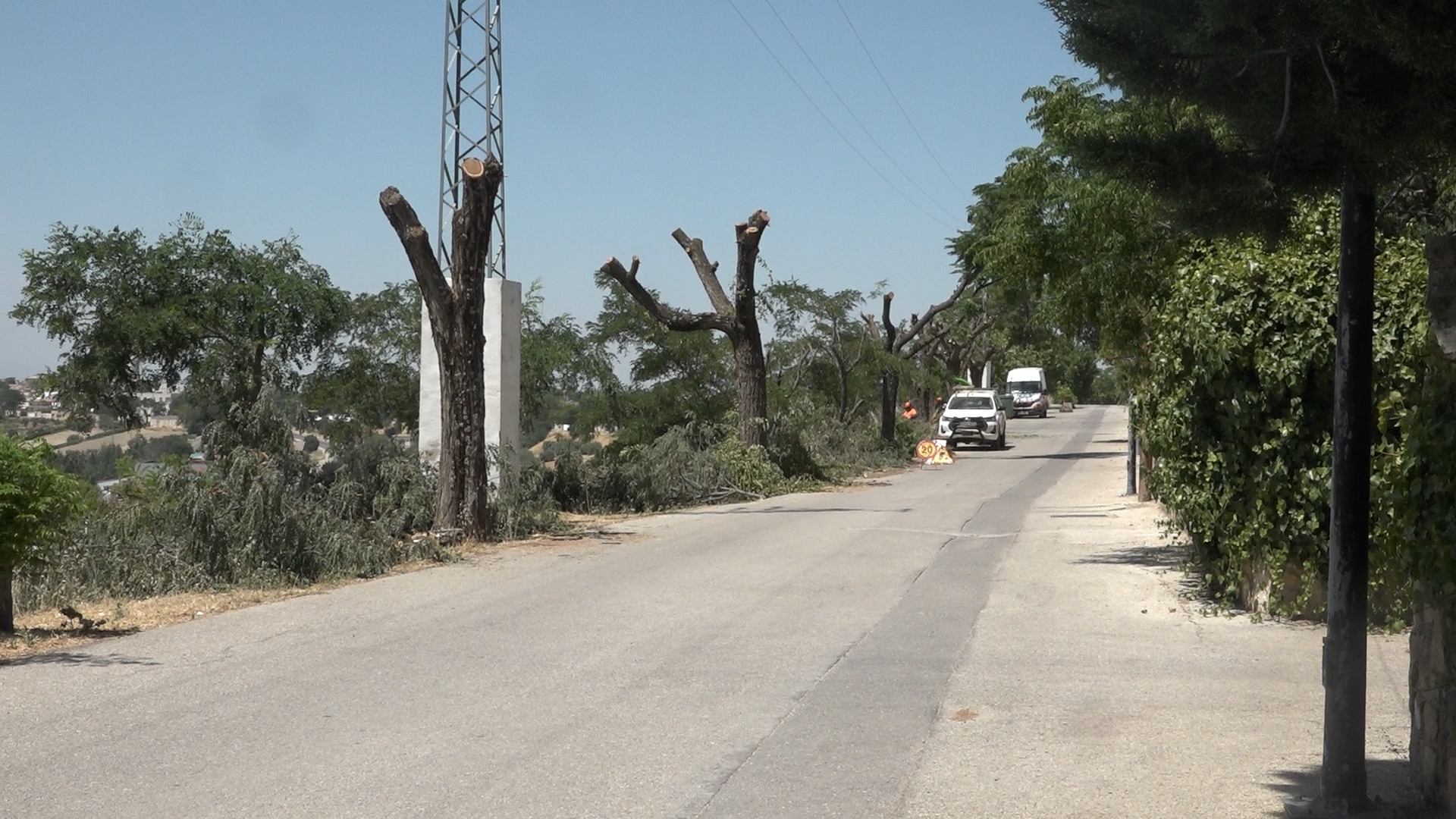 El Ayuntamiento de Baeza niega haber ejecutado la poda del arbolado en el Paseo de las Montalvas