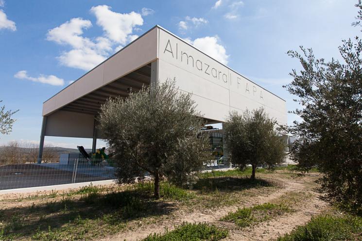 Un estudio de la Junta aporta evidencia científica para autorizar el uso de enzimas en la extracción de AOVE 3 Un estudio de la Junta aporta evidencia cientifica para autorizar el uso de enzimas en la extraccion de AOVE