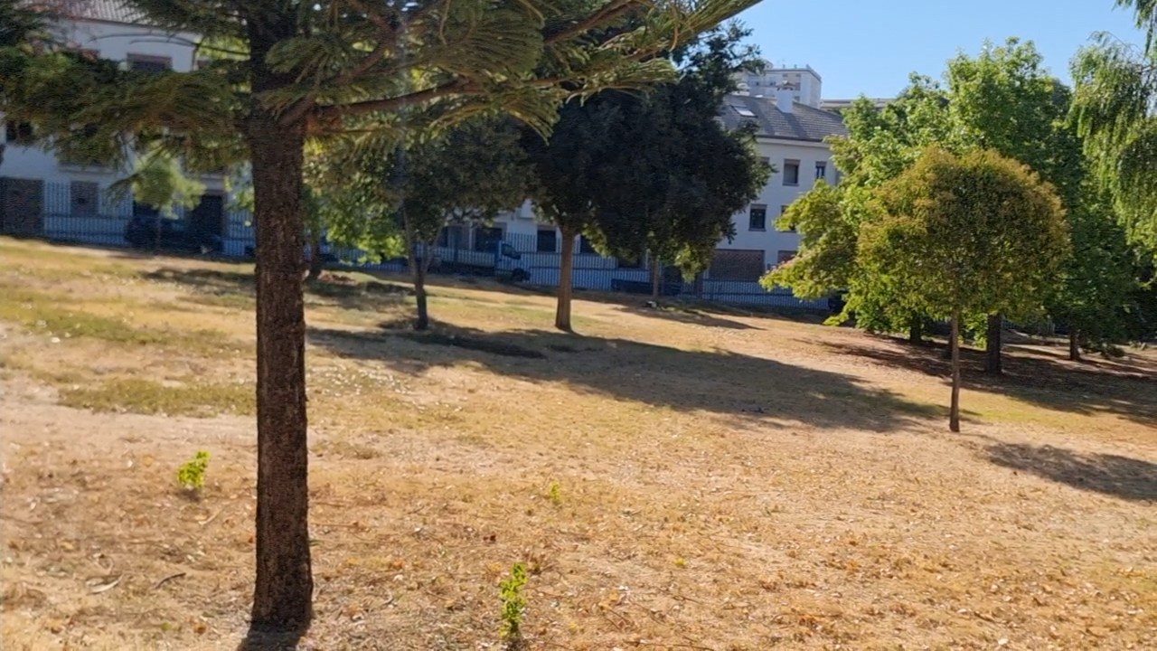 El PSOE de Baeza denuncia el abandono del Parque Patrimonio de la Humanidad a pocos dias del inicio de la Feria