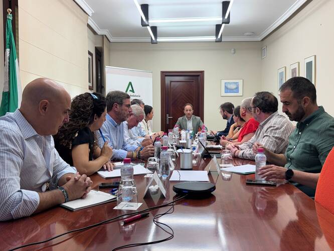 Erik Domínguez afirma que la legislatura será “clave para terminar de impulsar los proyectos estratégicos de Jaén” 3 Erik Dominguez afirma que la legislatura sera clave para terminar de impulsar los proyectos estrategicos de Jaen