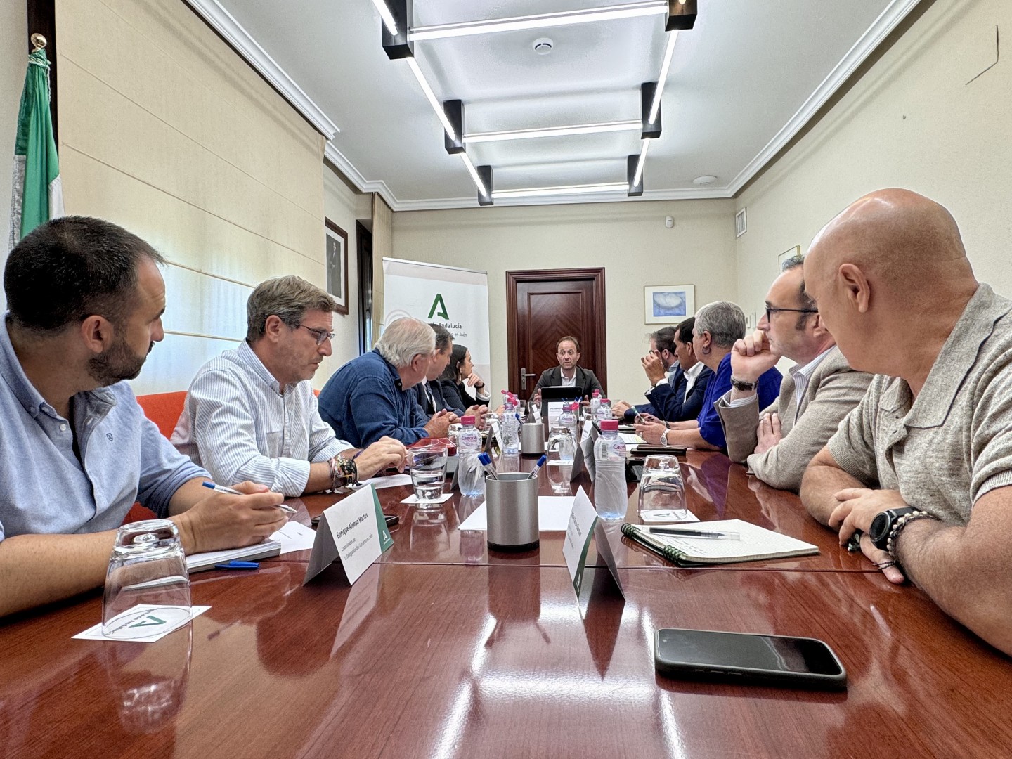 Erik Dominguez coordina en Jaen nuevas ayudas para la inclusion laboral y la conciliacion Large
