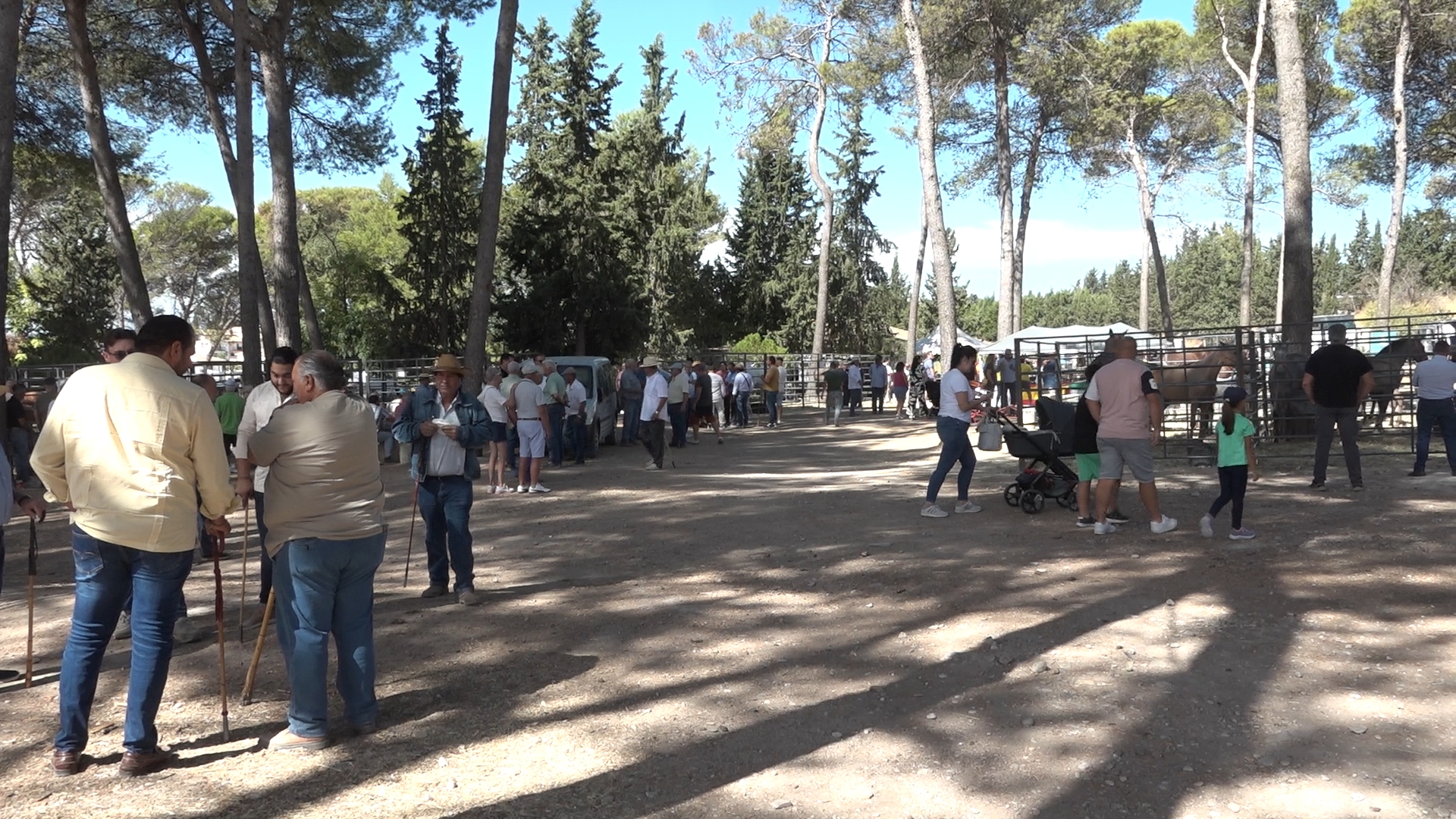 La XXII Feria del Ganado reúne en Torreperogil a profesionales del sector equino de dentro y fuera de Andalucía 2 La XXII Feria del Ganado reune en Torreperogil a profesionales del sector equino de dentro y fuera de Andalucia 1.80.1