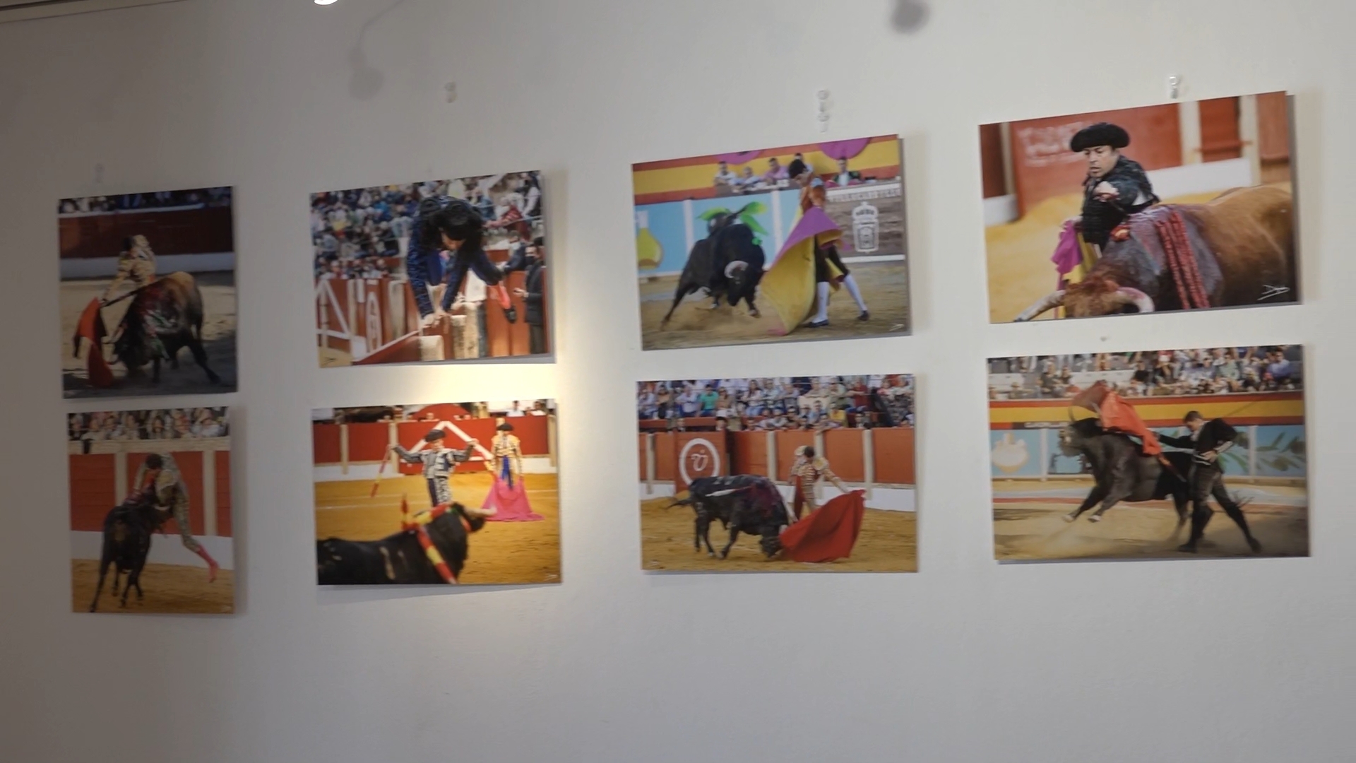 exposicion taurina 1.12.1