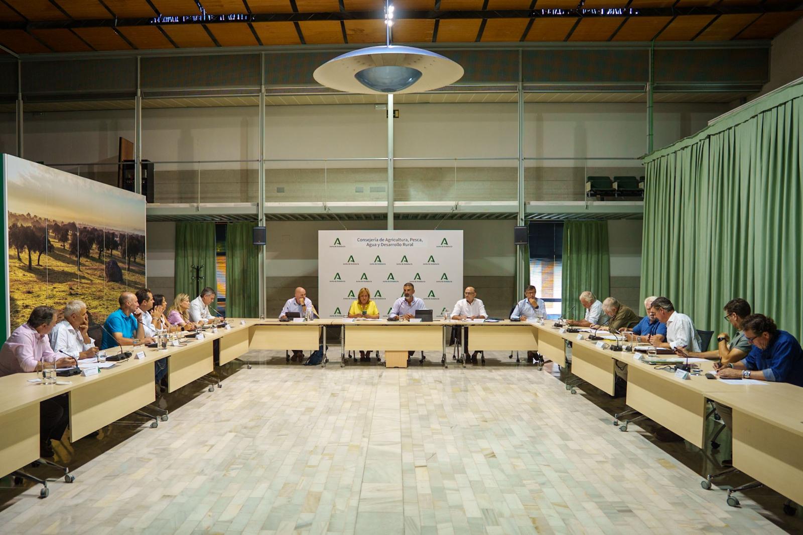 Fernández-Pacheco anuncia en la Mesa de Interlocución Agraria que el aforo del olivar 2026/2027 será el 29 de septiembre en Jaén